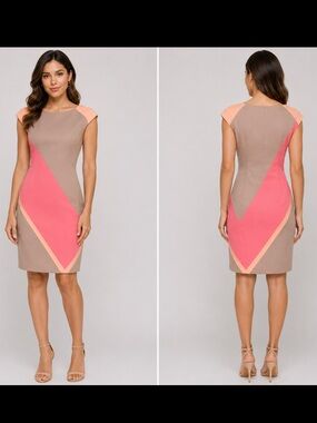 Maggy London Pink, Taupe & Peach Colorblock Sleeveless Shift Dress NWT Size 12